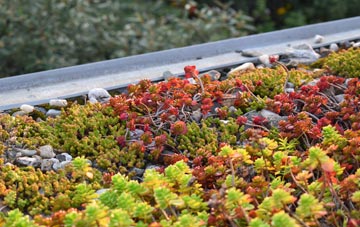 the cost of Birchover green roof installation