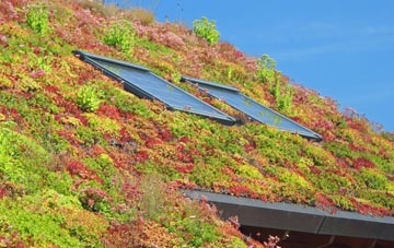 Birchover living roof systems