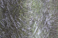 Birchover fibreglass roof work